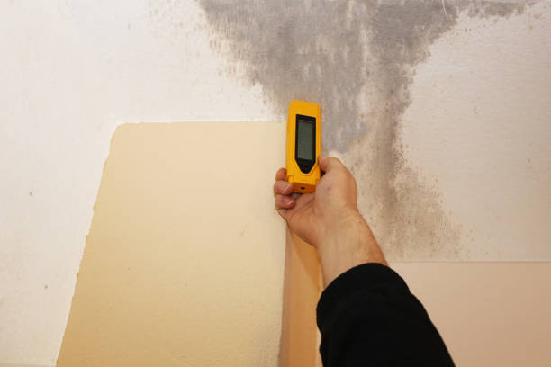Best HVAC Mold Inspection and Cleaning  in Leisure Village West, NJ