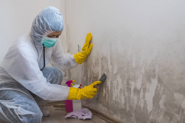 Best Biohazard Mold Removal  in Leisure Village West, NJ