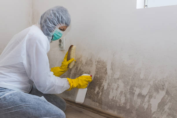 Best Mold Remediation for Healthcare Facilities  in Leisure Village West, NJ