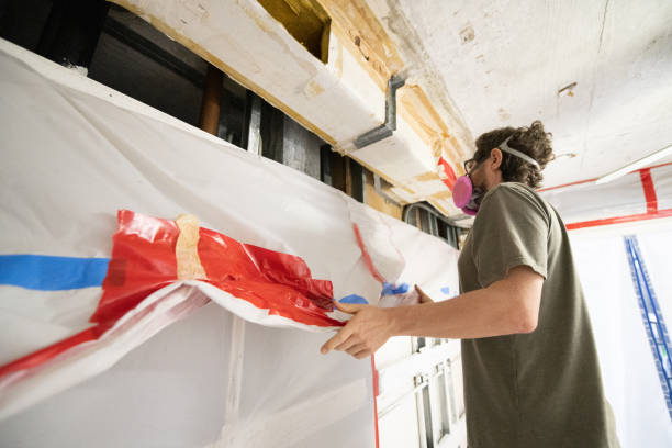 Best Basement Mold Removal  in Leisure Village West, NJ