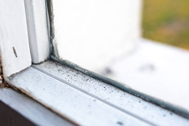 Best Commercial Mold Inspection  in Leisure Village West, NJ