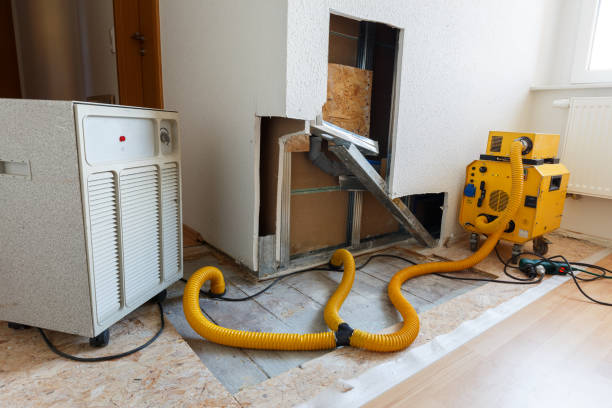 Best Airborne Mold Testing  in Leisure Village West, NJ